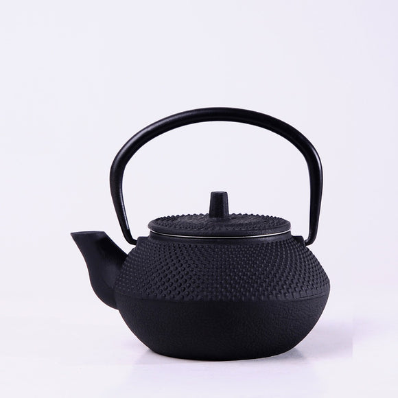 Cast Iron Teapot